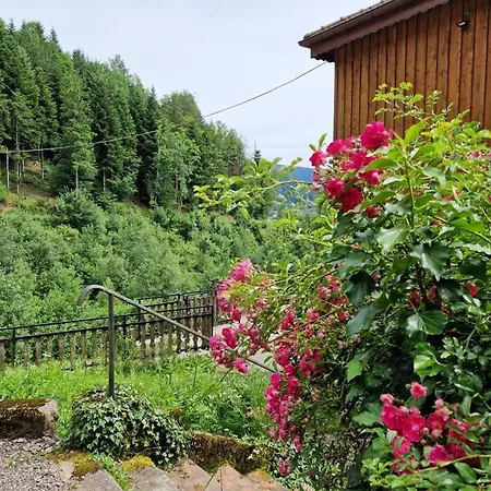 3 étoiles Jusqu'à 12 Pers *