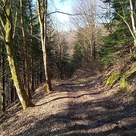 3 étoiles Jusqu'à 12 Pers Appartement