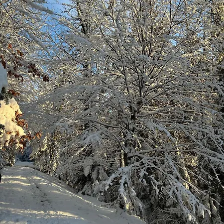 Appartement 3 étoiles Jusqu'à 12 Pers