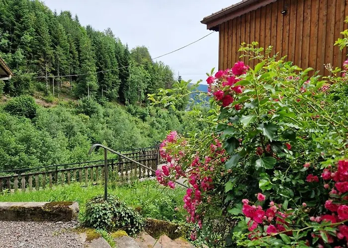 3 Etoiles Jusqu'a 12 Pers *