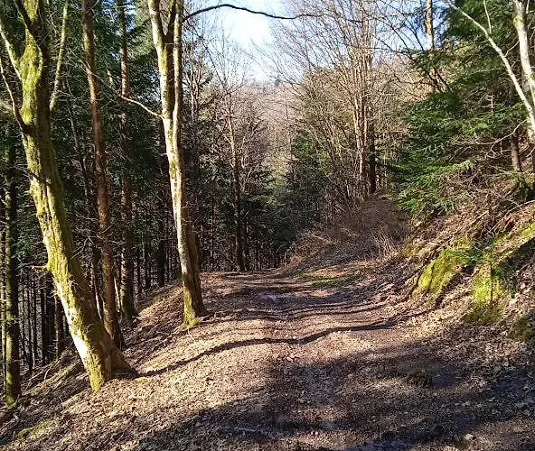 3 Etoiles Jusqu'a 12 Pers Апартаменты