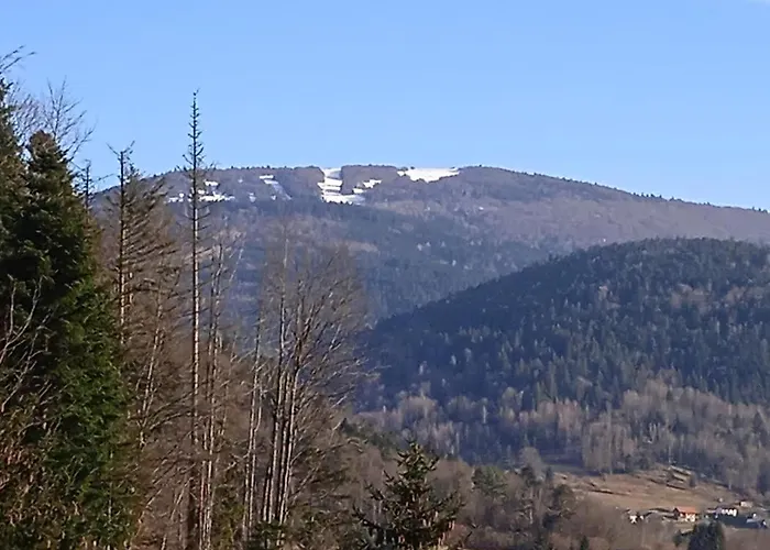 3 Etoiles Jusqu'a 12 Pers Апартаменты *