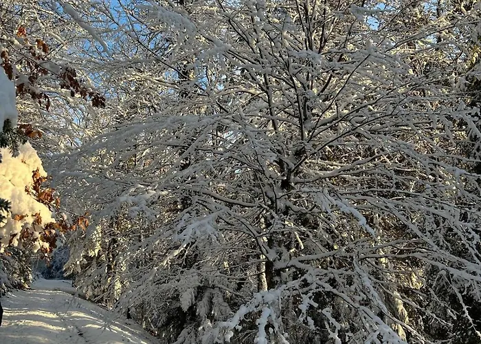 Апартаменты 3 Etoiles Jusqu'a 12 Pers